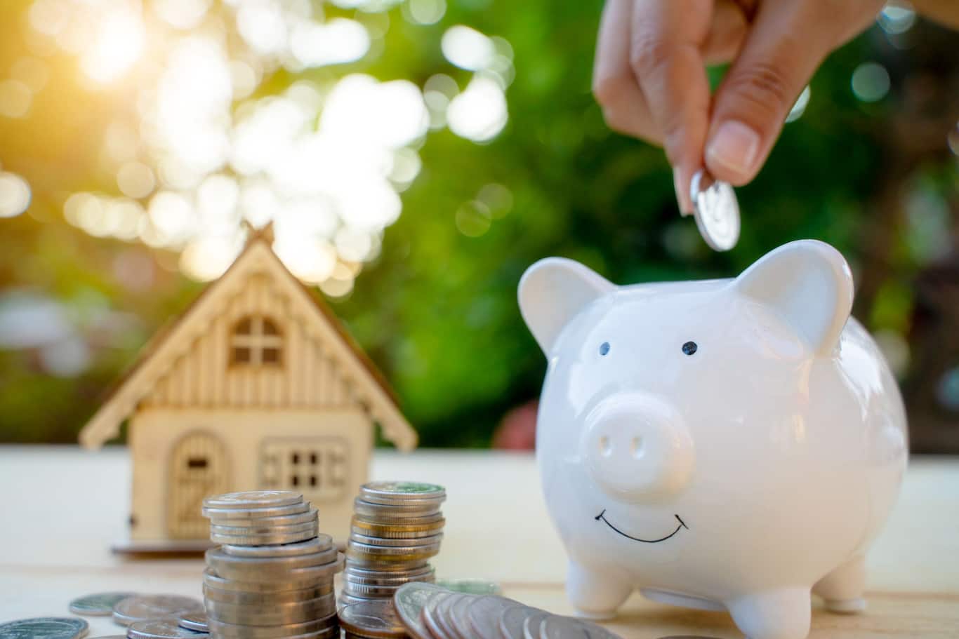 Šporiacie prasiatko na úspory pre domácnosť